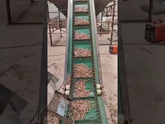 El anillo 50HZ muere pelotilla vertical de madera de la máquina 3Phase de la pelotilla que hace la máquina 450-700m m