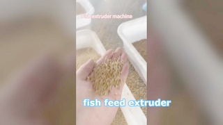 Extrusora de alimento para peces de proceso húmedo