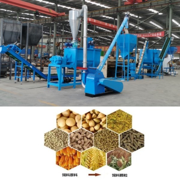 Cadena de producción de la nodulizadora del molino de la pelotilla de la comida de las aves de corral de las ovejas de la carne de vaca del pollo cadena de producción de la pelotilla de la alimentación