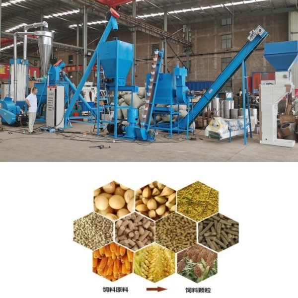 Cadena de producción de la nodulizadora del molino de la pelotilla de la comida de las aves de corral de las ovejas de la carne de vaca del pollo cadena de producción de la pelotilla de la alimentación