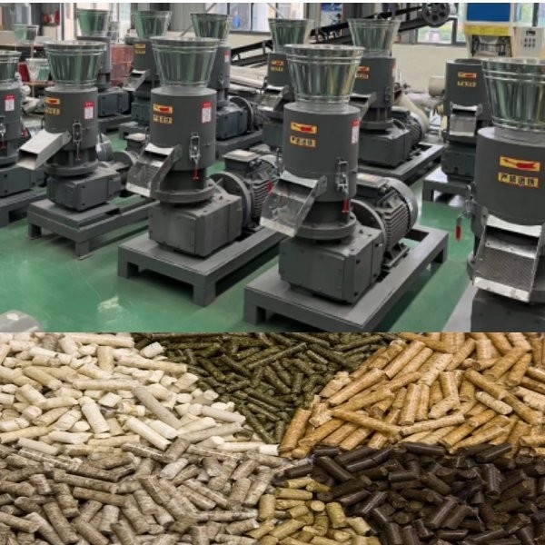 200-500kg por la máquina de madera del molino de la pelotilla del rodillo móvil de la máquina de la pelotilla de madera del serrín de la hora para el uso industrial