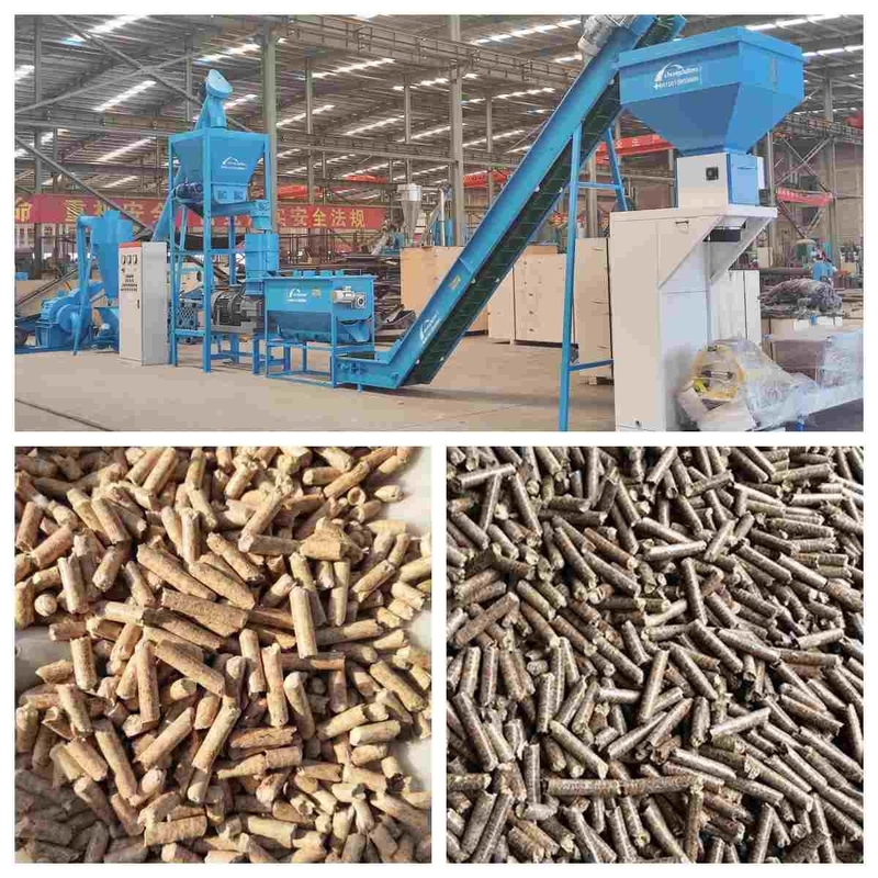 Cadena de producción de madera de la pelotilla del combustible biológico de Industial 1~10T/H para hacer la pelotilla para la calefacción