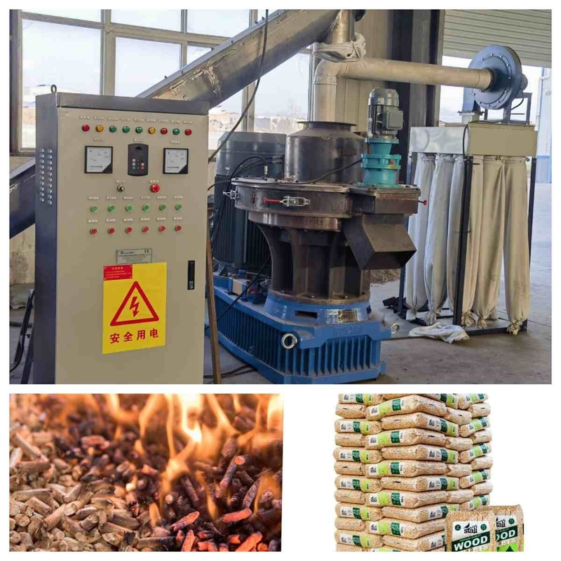 cadena de producción de la pelotilla de la biomasa de 2-3tph Ring Die Pellet Machine Whole con CE