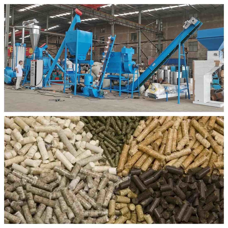 cadena de producción de la pelotilla del pienso 1000kg/H granulador de la pelotilla de la alimentación de 1-12m m