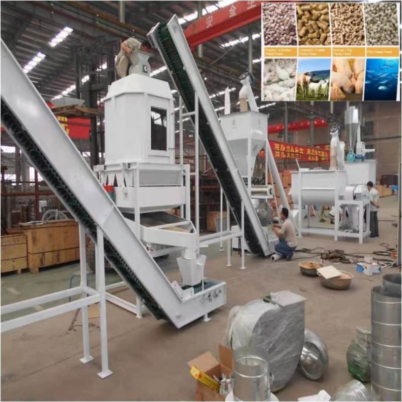 La cadena de producción de la pelotilla de la alimentación de la granja ganado completo de 20ton/H alimenta la fabricación de la máquina