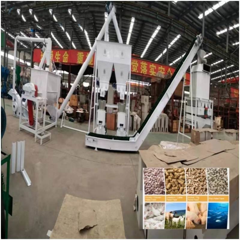 La cadena de producción de la pelotilla de la alimentación de la granja ganado completo de 20ton/H alimenta la fabricación de la máquina
