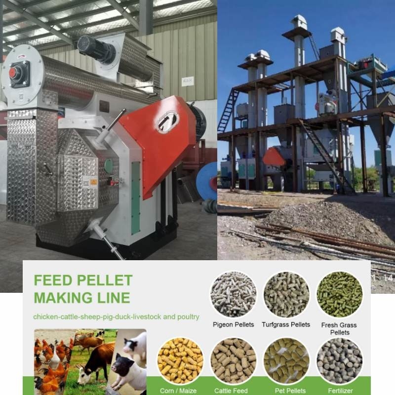 100kg a la cadena de producción de la pelotilla de la alimentación de 10 Ton Pellet Mill Machine Animal combustible de la biomasa