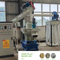 cadena de producción de la pelotilla de la biomasa 55kw 800-1000kg/H Ring Die Pellet Production Line