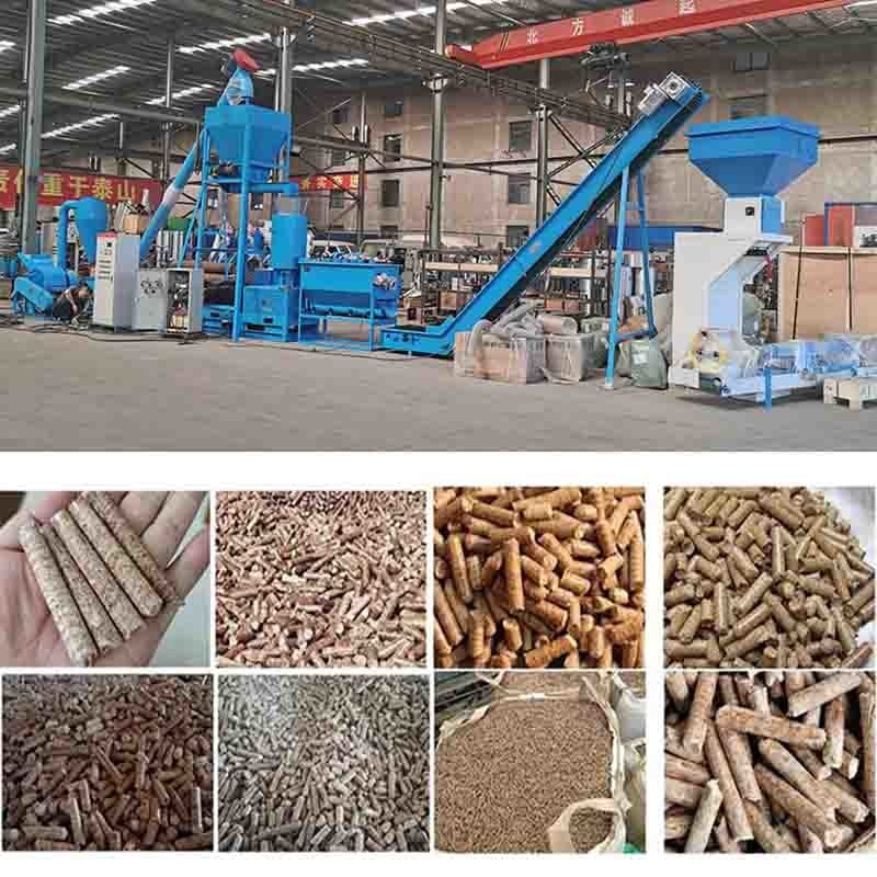 cadena de producción de madera de la pelotilla 600-800kg/H pelotilla de la biomasa que hace el dado del plano de la máquina