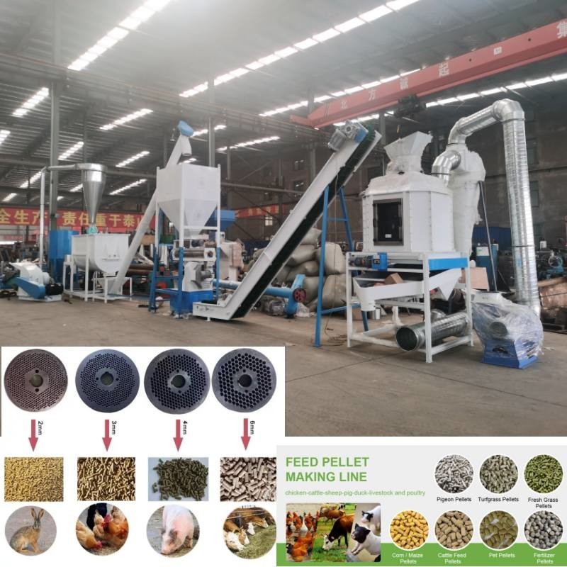 Cadena de producción de la pelotilla de la alimentación de 2 toneladas/hora para la alimentación animal de las aves de corral