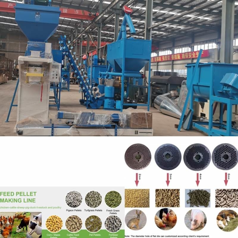 Cadena de producción de la pelotilla de la alimentación de 2 toneladas/hora para la alimentación animal de las aves de corral