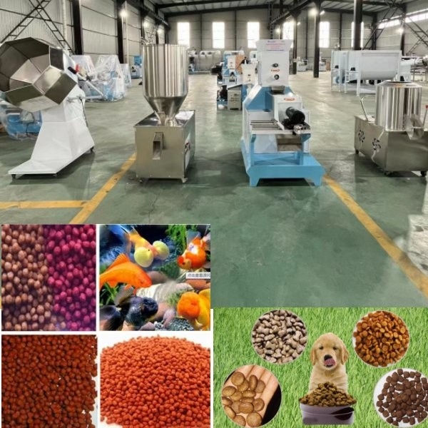 El proceso del alimento para animales trabaja a máquina pescados flotantes de la máquina de la comida de perro alimenta a cadena de producción calidad la máquina de proceso del pienso