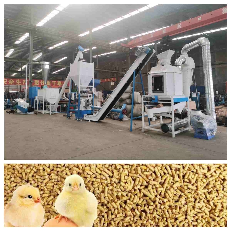 Cadena de producción de la pelotilla de la alimentación del CE 5t/H Ring Die Feed Pellet Machine con el generador de vapor