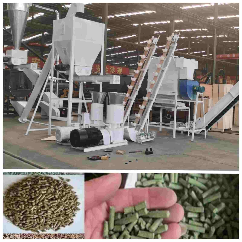 pelotilla automática de la máquina 2.5m m de la pelotilla de las aves de corral 2ton/H que hace la máquina para la alimentación de las aves de corral