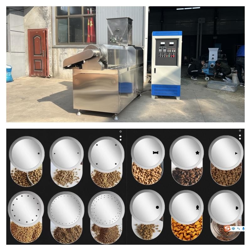 El tipo seco de acero inoxidable pescado alimenta a extrusor 55kw la cadena de producción seca de alimento para animales