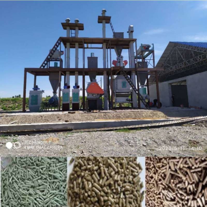 Cadena de producción de la pelotilla del pienso del CE máquina de la pelotilla de la alimentación del conejo de Ring Die 1-10 TPH