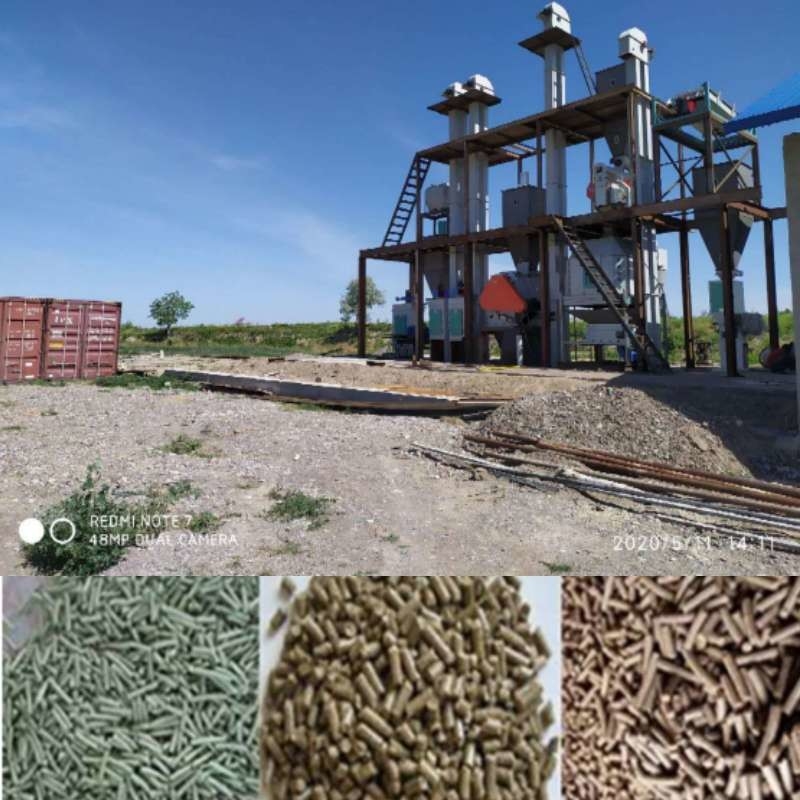 Máquinas de procesamiento de alimentos para animales 2-18 mm Granulador de anillo a presión de pellets Molino de pellets Fabricación de pellets para animales Granja de máquinas de pellets