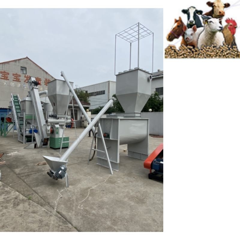 la cadena de producción de la pelotilla del pienso 500kg/H Ring Die Poultry Feed Pellet muele el pienso