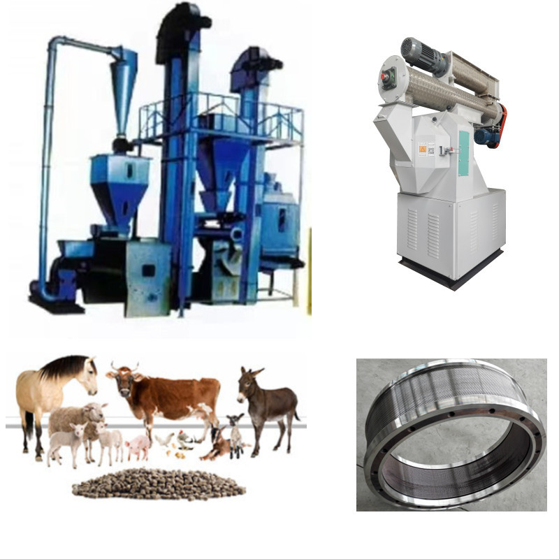 Línea de producción de pellets de alimentación de alta eficiencia Mezcla de trituración limpia Granulado Pantalla de enfriamiento y embalaje