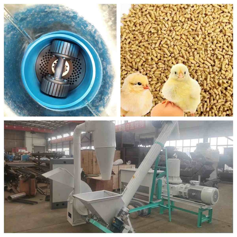 El plano muere cadena de producción de la pelotilla del pienso del fabricante 300kg/H -1000Kg/H de la pelotilla de la alimentación pequeña