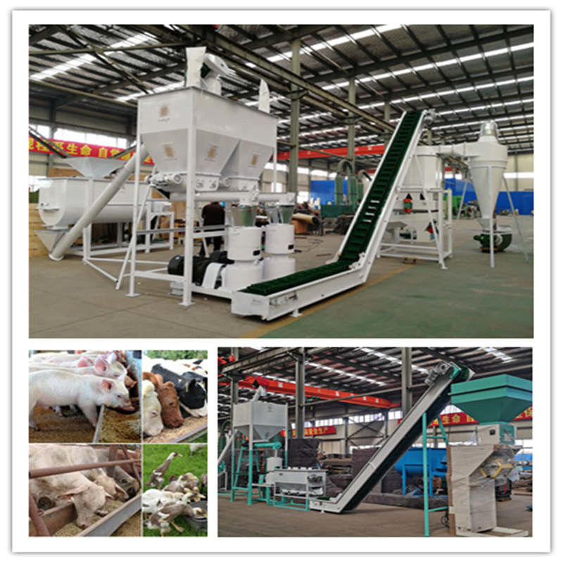 0.5-30 toneladas/h Línea de producción de pellets para piensos para animales con molino de pellets a presión