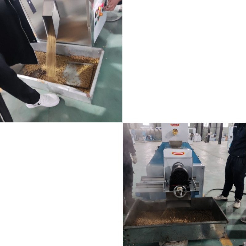 Extrusor automático de alimentación para peces de tipo seco calefacción eléctrica para la producción a gran escala
