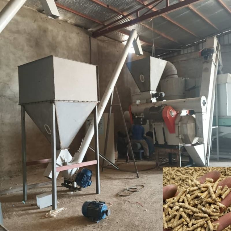 Línea de producción de pellets para piensos para animales Alimentación de aves de corral Máquina de pelletización para producir pellets para piensos para animales