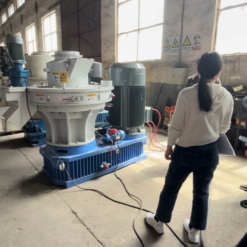 Equipo de producción de combustible de biomasa de paja para la fabricación de brotes de biomasa