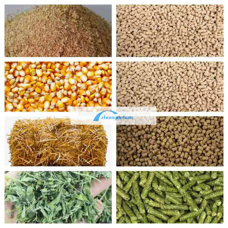Máquina de producción de alimentos para animales de nueva generación máquina de pellets para alimentos para peces 90-120 KG/H molino de pellets para alimentos para animales
