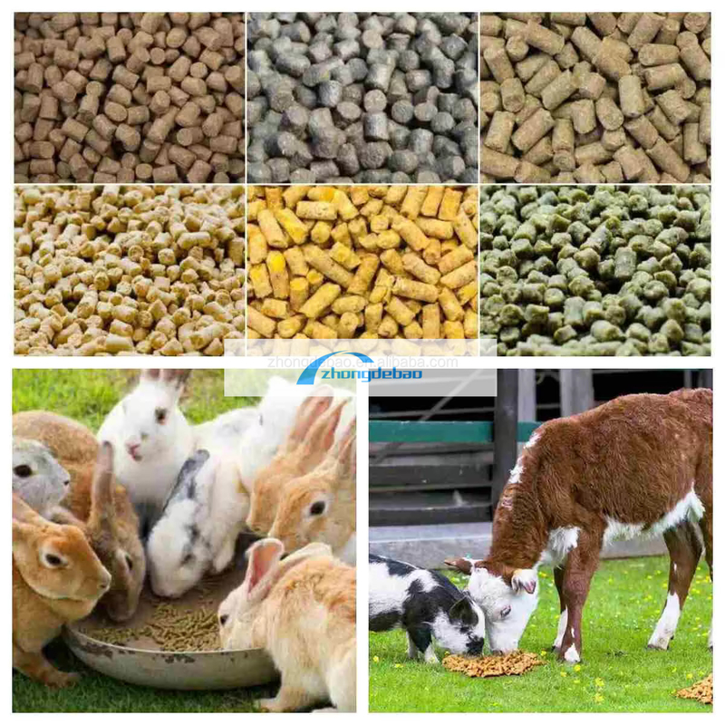Máquina de producción de alimentos para animales de nueva generación máquina de pellets para alimentos para peces 90-120 KG/H molino de pellets para alimentos para animales