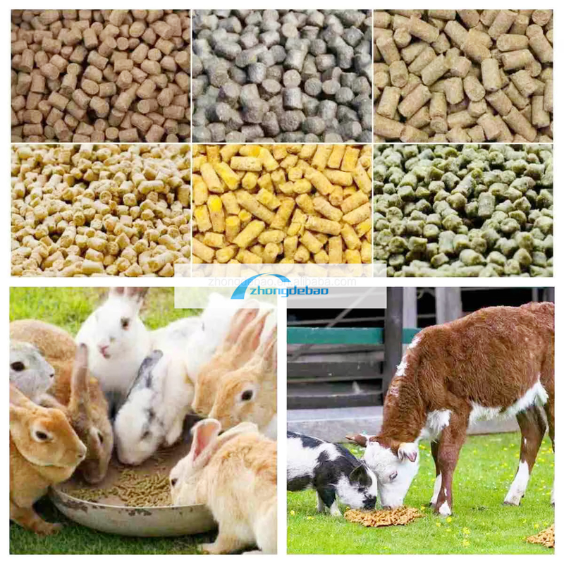 600-800 KG/H de producción de pescado fábrica de piensos para animales para perros y gatos equipo de pellets para piensos para perros y gatos extrusora de alimentos máquina de pelletización