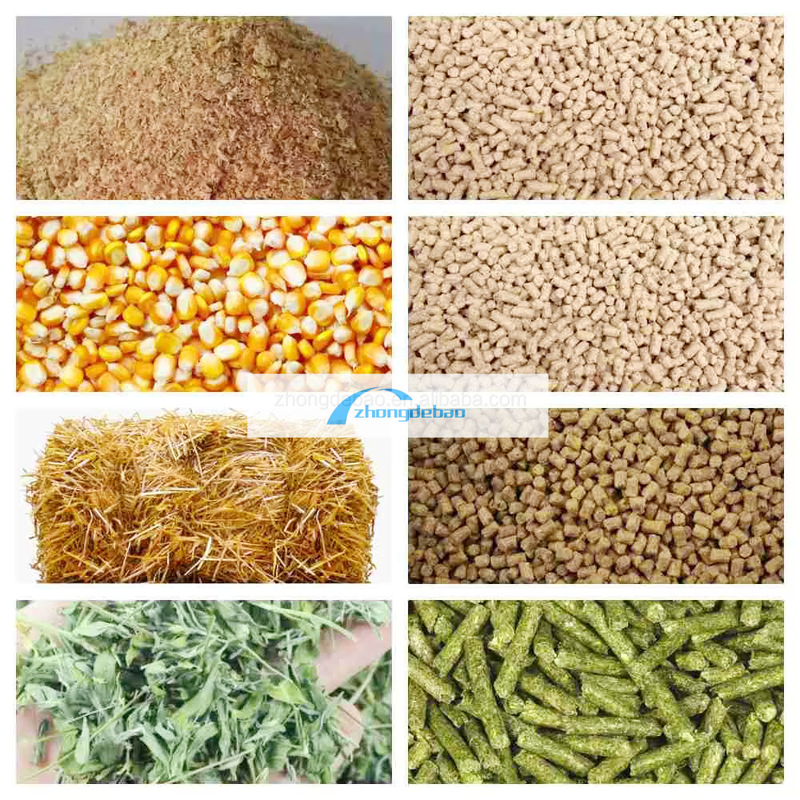 600-800 KG/H de producción de pescado fábrica de piensos para animales para perros y gatos equipo de pellets para piensos para perros y gatos extrusora de alimentos máquina de pelletización