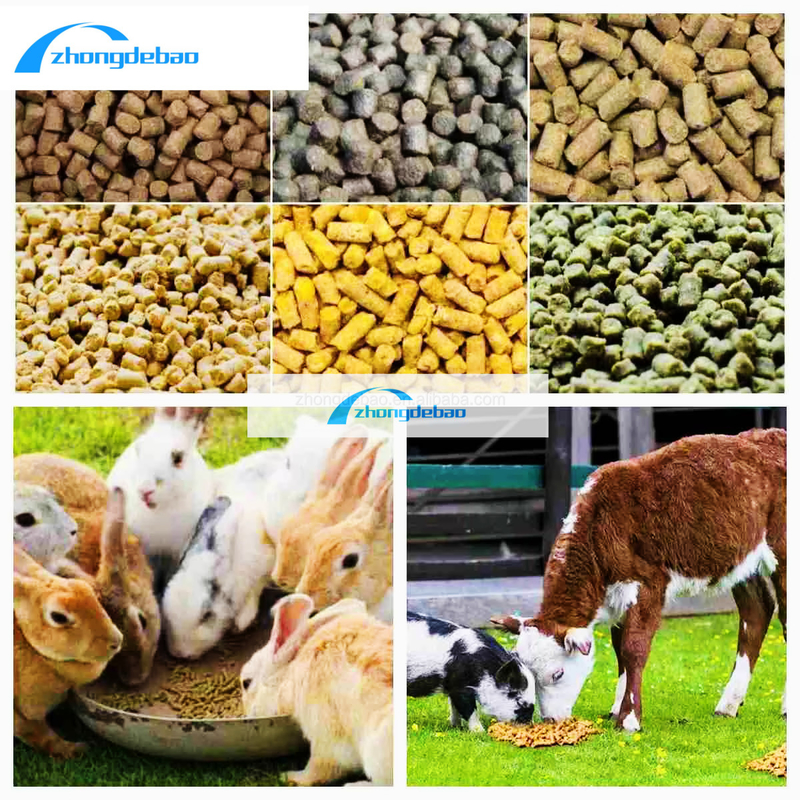 Nuevo diseño 10HP diesel tipo de alimentación de pellets máquina 90kg/h de alimentación animal molino de la máquina