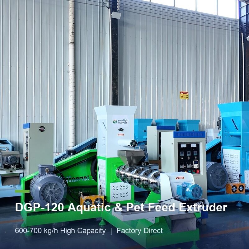 Aquaculture Feed Extrusion Line DGP120 Shrimp Fish Pellet Machine For Commercial Feed Factory With Stable Output