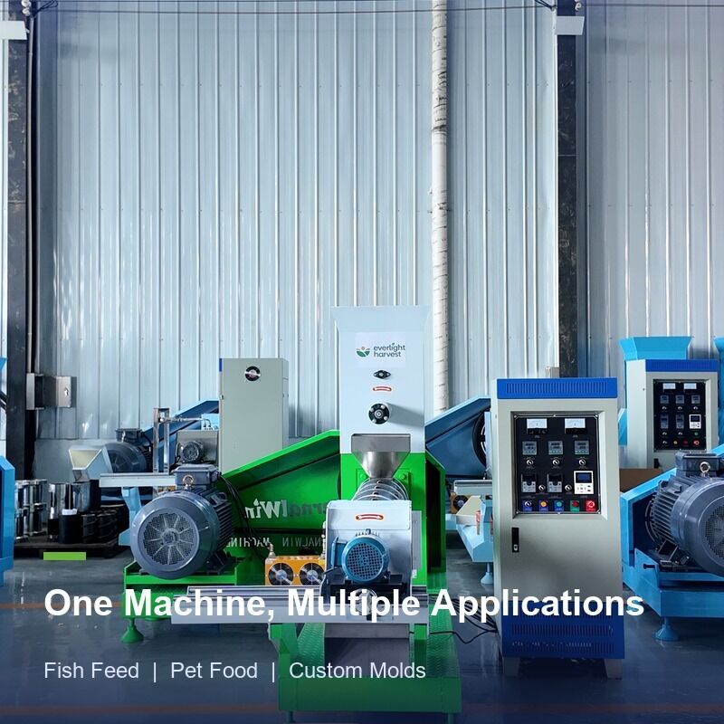 Máquina extrusora de pellets de alimento para camarones para la producción de alimento flotante para acuicultura con diseño de fácil operación