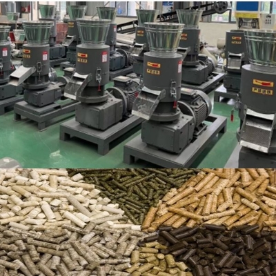 200-500kg por la máquina de madera del molino de la pelotilla del rodillo móvil de la máquina de la pelotilla de madera del serrín de la hora para el uso industrial