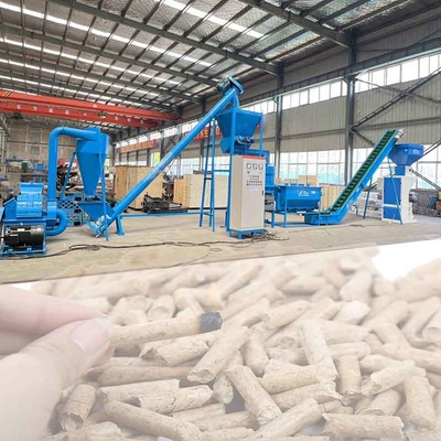 Cadena de producción de la pelotilla de la biomasa de la hornilla de la estufa fábrica de madera de la pelotilla de 6m m