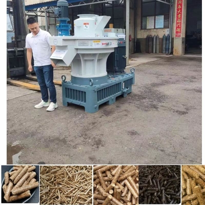Arroz comercial Straw Pellet Making Machine de la máquina 160kw de la pastilla de combustible de la biomasa