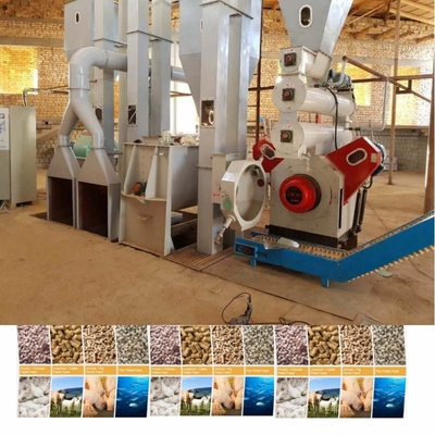 Línea de procesamiento de pellets para aves de corral, pollos y ganado
